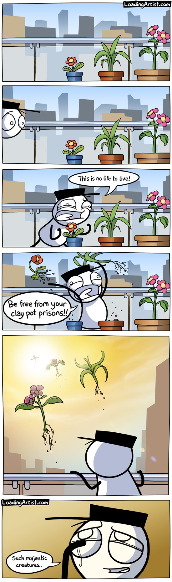 Plants Deserve Better